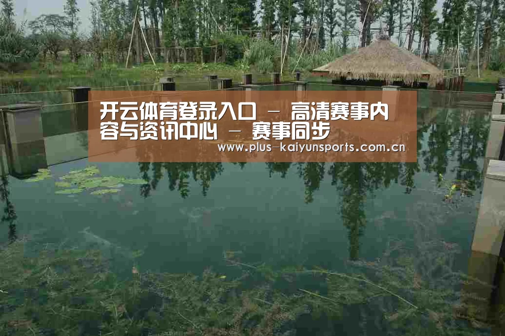 案例展示二(图1)