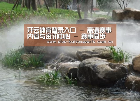 案例展示五