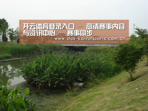 案例展示四