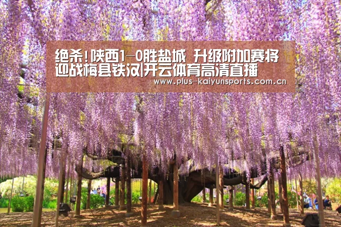 开云官网首页