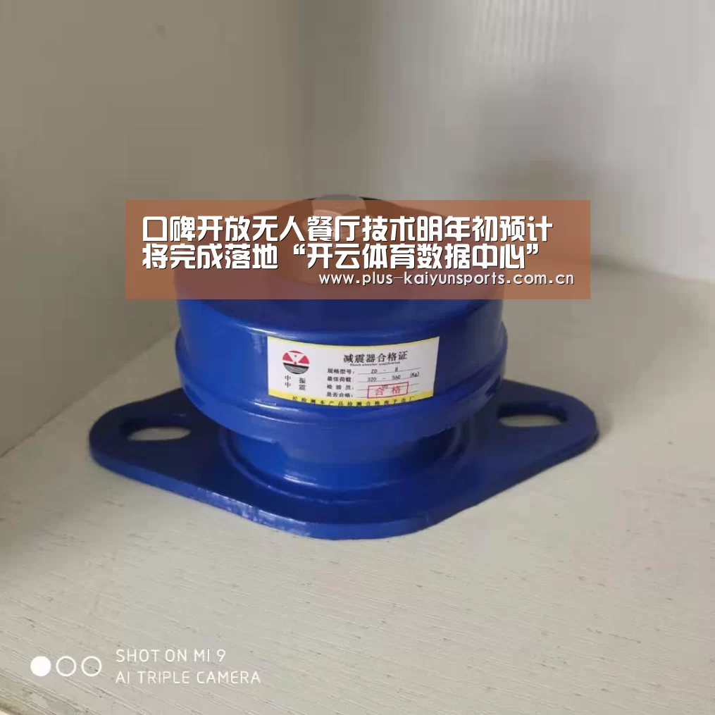 开云体育官方入口