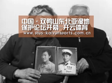 开云体育高清直播