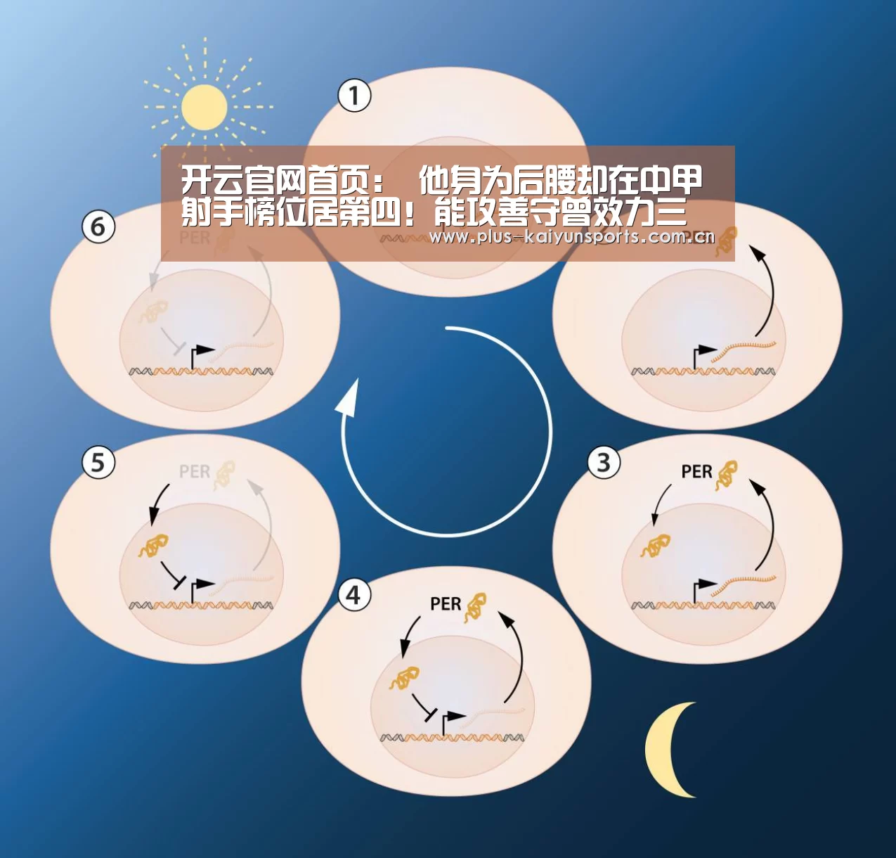 开云官网首页:
他身为后腰却在中甲射手榜位居第四!能攻善守曾效力三大中超权门(图3) 开云体育数据中心